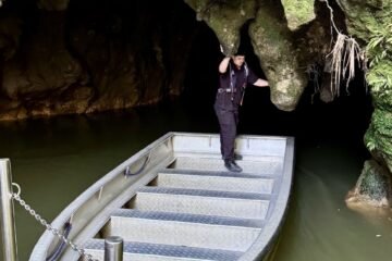 Glowworm Caves North Island: