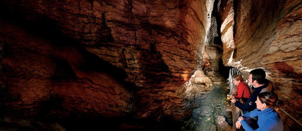 Best Glowworm Caves on the North Island.
