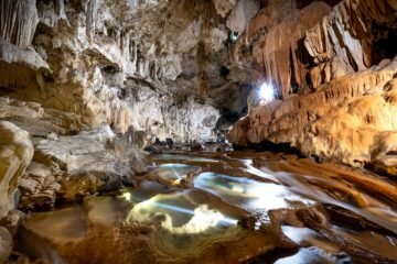 9 Amazing Glowworm Caves North Island Secrets.